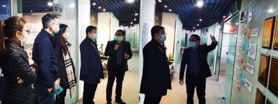 共同战疫，上海市团市委副书记刘伟等一行莅临罗威指导工作