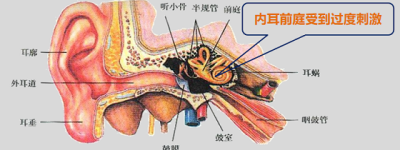 眩晕宁不良反应大吗？晕车是什么原因引起的？