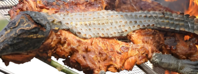 海南东方鳄珍鳄鱼园获评国家 3A 级旅游景区