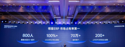 2025领星跨境电商海外仓峰会圆满结束，ERP x WMS助力中国企业出海