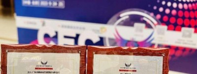 美思康宸集团总裁邓丽君荣获2023中国经济大会《行业十大领军人物》奖