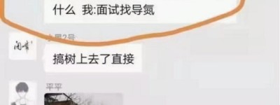 咆哮，导氮教育不褪的专家底色