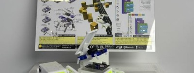 硅基伙伴闹新春！杭州机器人梦工厂成春节顶流打卡地