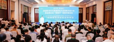 木业盛会荣膺双项大奖！鹏鸿板材蝉联国字号荣誉，引领板材行业破局向上