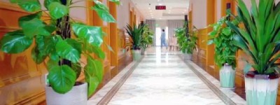 探访广州白云区老年医学科病房：当术后康复遇上长期养老，如何做到两者兼得？
