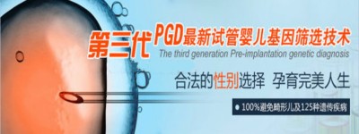 金雨天使：不出国门，做美国三代试管