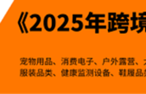 任小姐出海战略咨询｜避开巨头竞争，中国跨境卖家智能家居破局之道