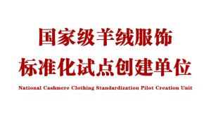 羊绒服饰消费将有国家级量化标准，标准由印象草原负责制定！