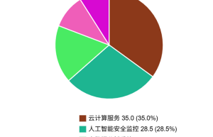 人工智能安全监控市场格局与细分赛道深度解析