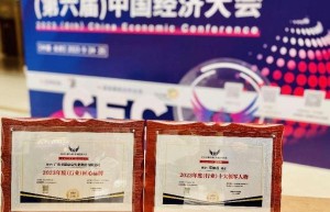 美思康宸集团总裁邓丽君荣获2023中国经济大会《行业十大领军人物》奖