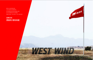 新规下的修养：如何从“钓鱼人”升级为“垂钓者”？