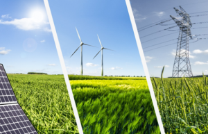 麦考瑞大学实现100%可再生电力，打造澳洲绿色高校标杆