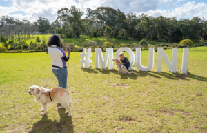 麦考瑞大学财务团队“下地”造林，校园再添绿色希望