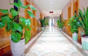 安宁疗护与医养结合 | 广州金沙洲肿瘤医院：为晚期癌症患者提供全周期照护