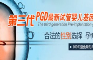 金雨天使：不出国门，做美国三代试管