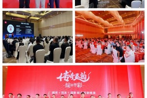 双奖加冕 荣耀全城 | 鹏鸿2025临沂木博会“双冠王”实至名归！