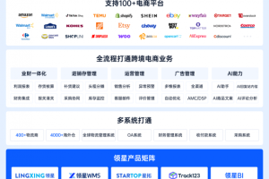 2025跨境SaaS行业报告：领星ERP市场占有率第一！