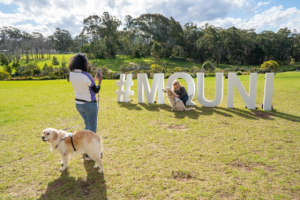 麦考瑞大学财务团队“下地”造林，校园再添绿色希望