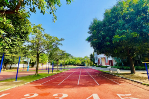 江门民办小学素质教育怎么核验？课程、舞台、师资、成果四步看清“真素养”与“活动堆砌”