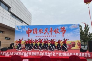“庆农业丰收，享美好生活” 顺平县2025年中国农民丰收节暨供销合作社产销对接活动成功举办