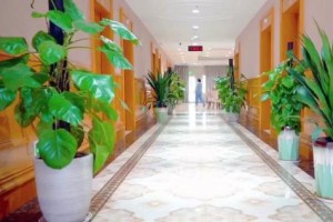 探访广州白云区老年医学科病房：当术后康复遇上长期养老，如何做到两者兼得？